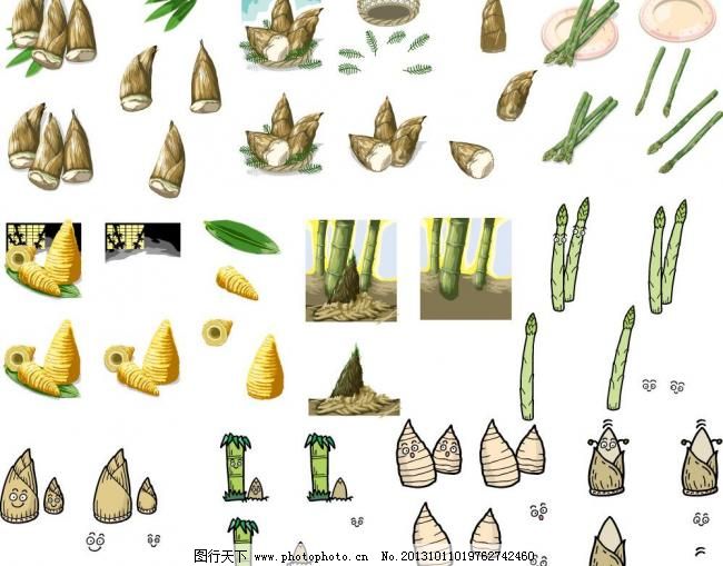 春筍、冬筍與竹筍 山中時(shí)令的全集風(fēng)味